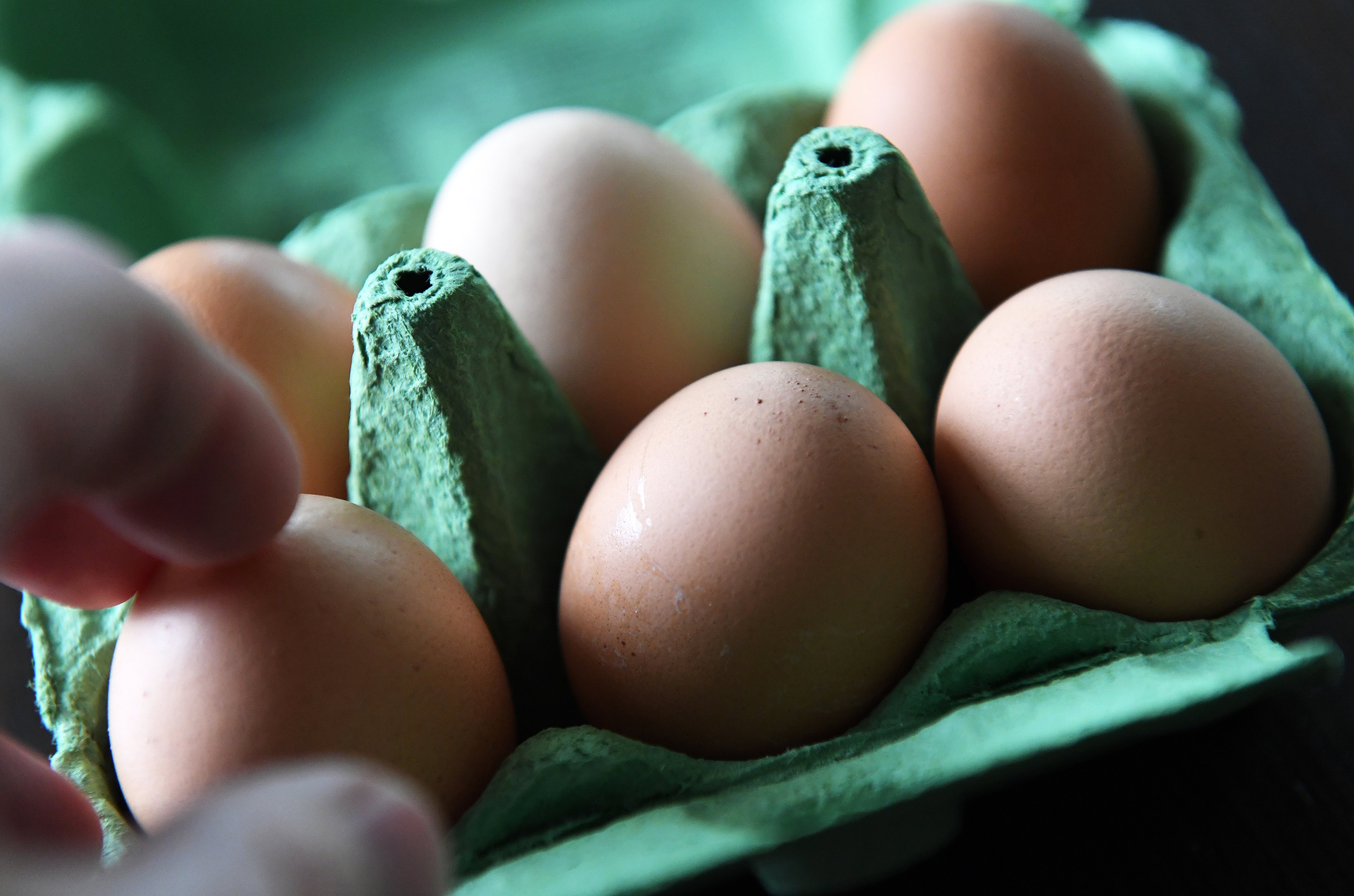 Bird flu fears prompt egg limits by coles. Here's what we know - Vimarsana News