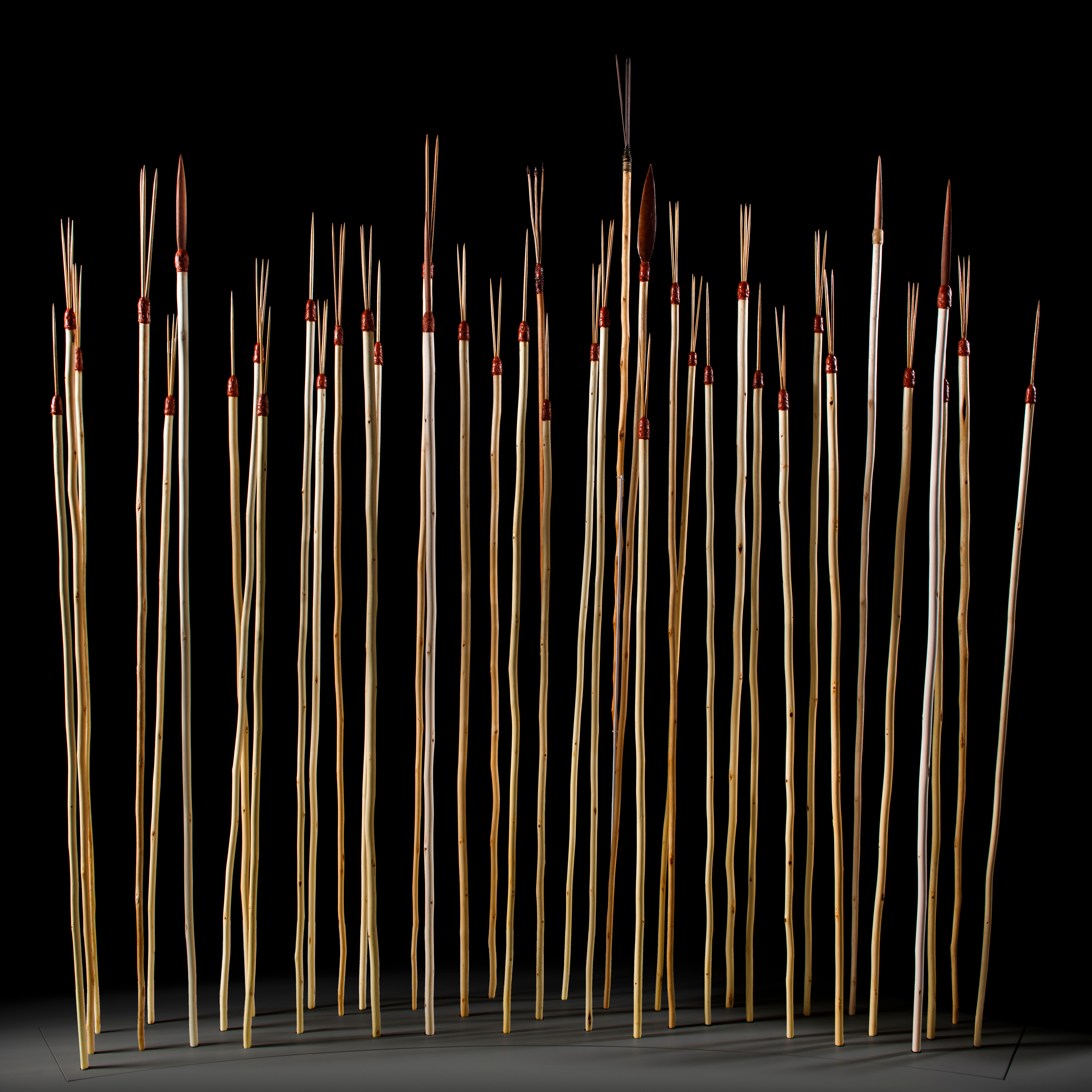 First contact: the Gweagal spears have been returned to community - Vimarsana News