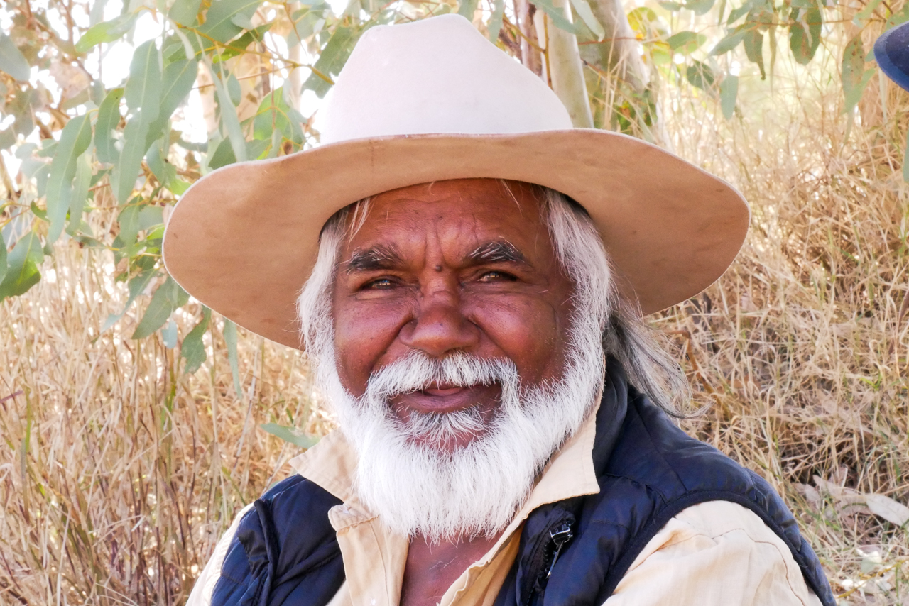 Host a Screening of Larapinta - Vimarsana News
