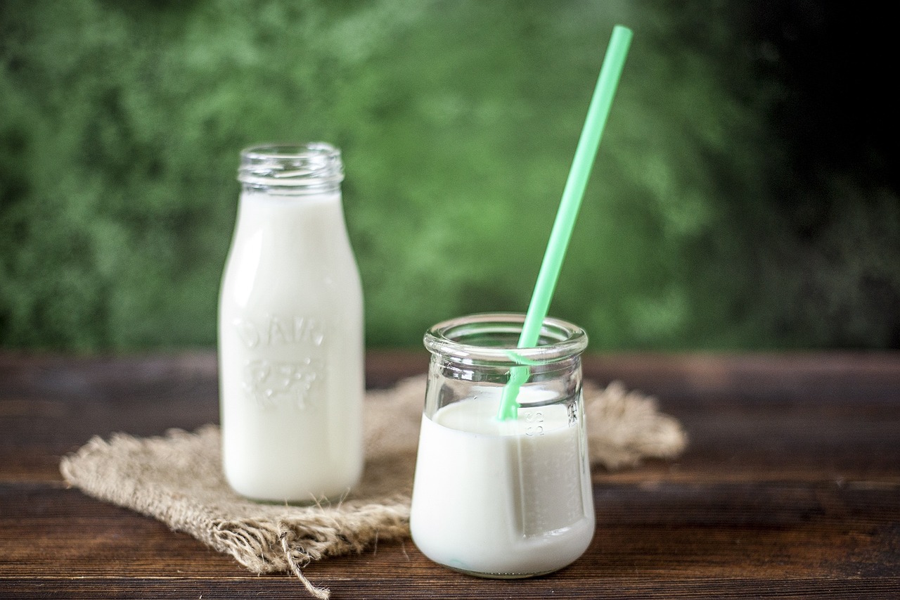 milk yogurt