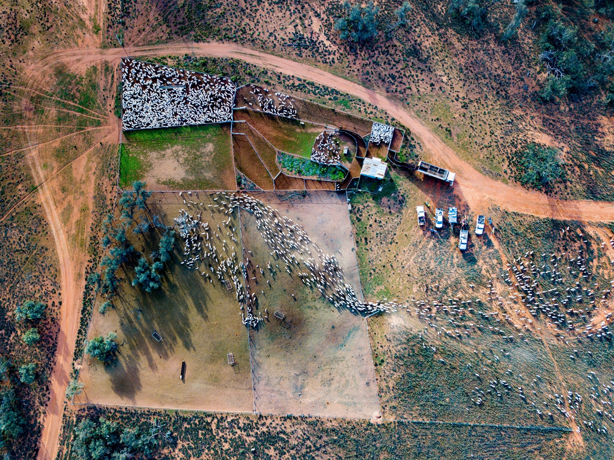 schaaf farm 2.jpg