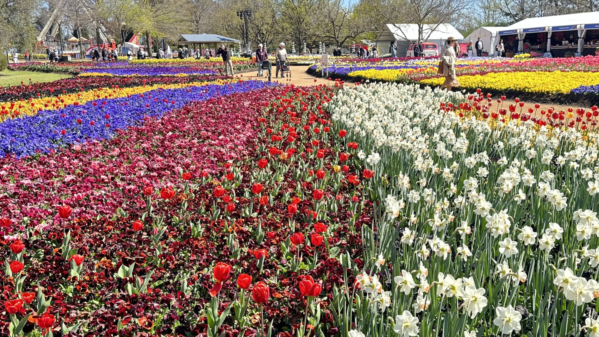floriade 4.jpg