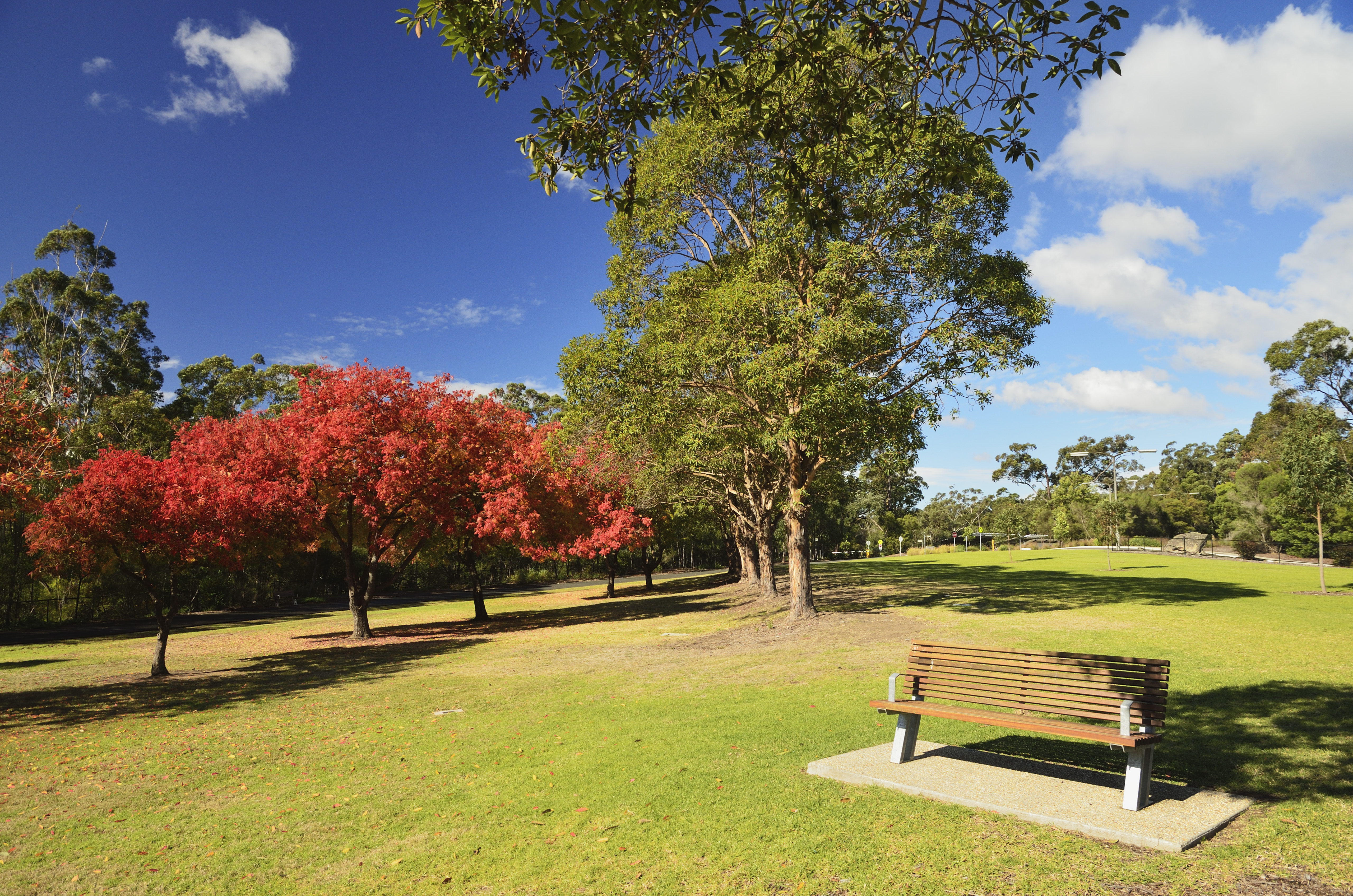 Park at Warragamba Dam