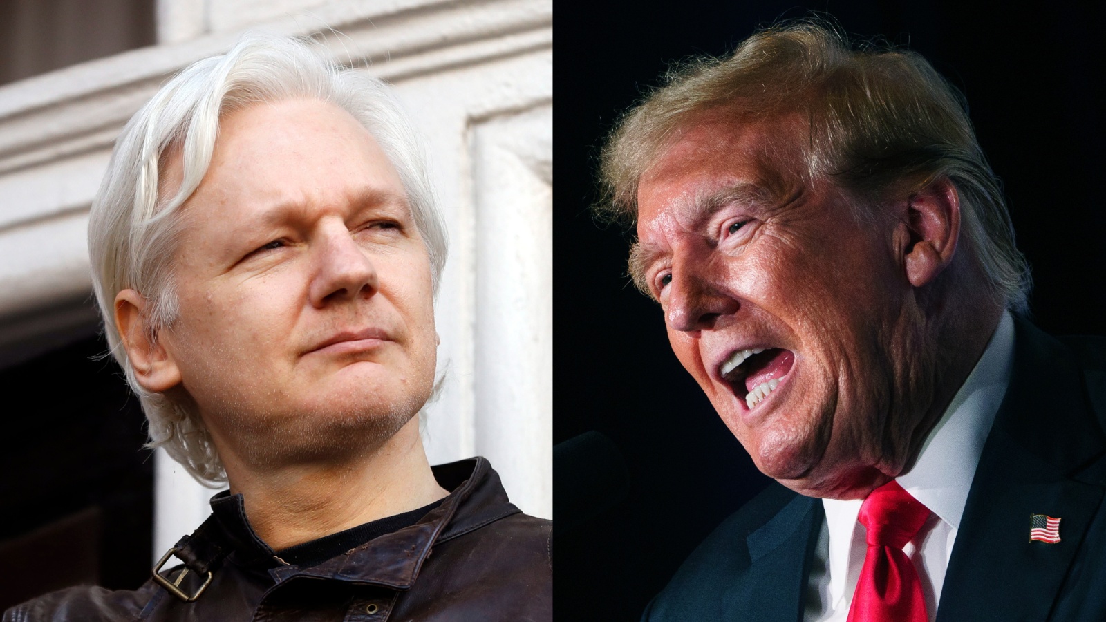 Donald Trump giving 'serious consideration' to Julian Assange's push to be pardoned - Vimarsana News