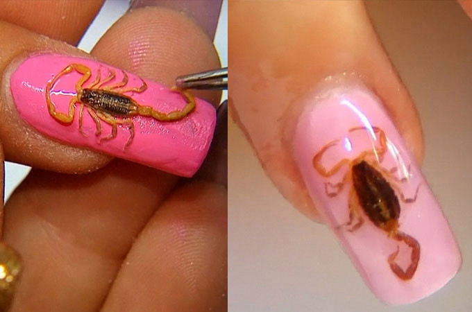 Scorpion Nails