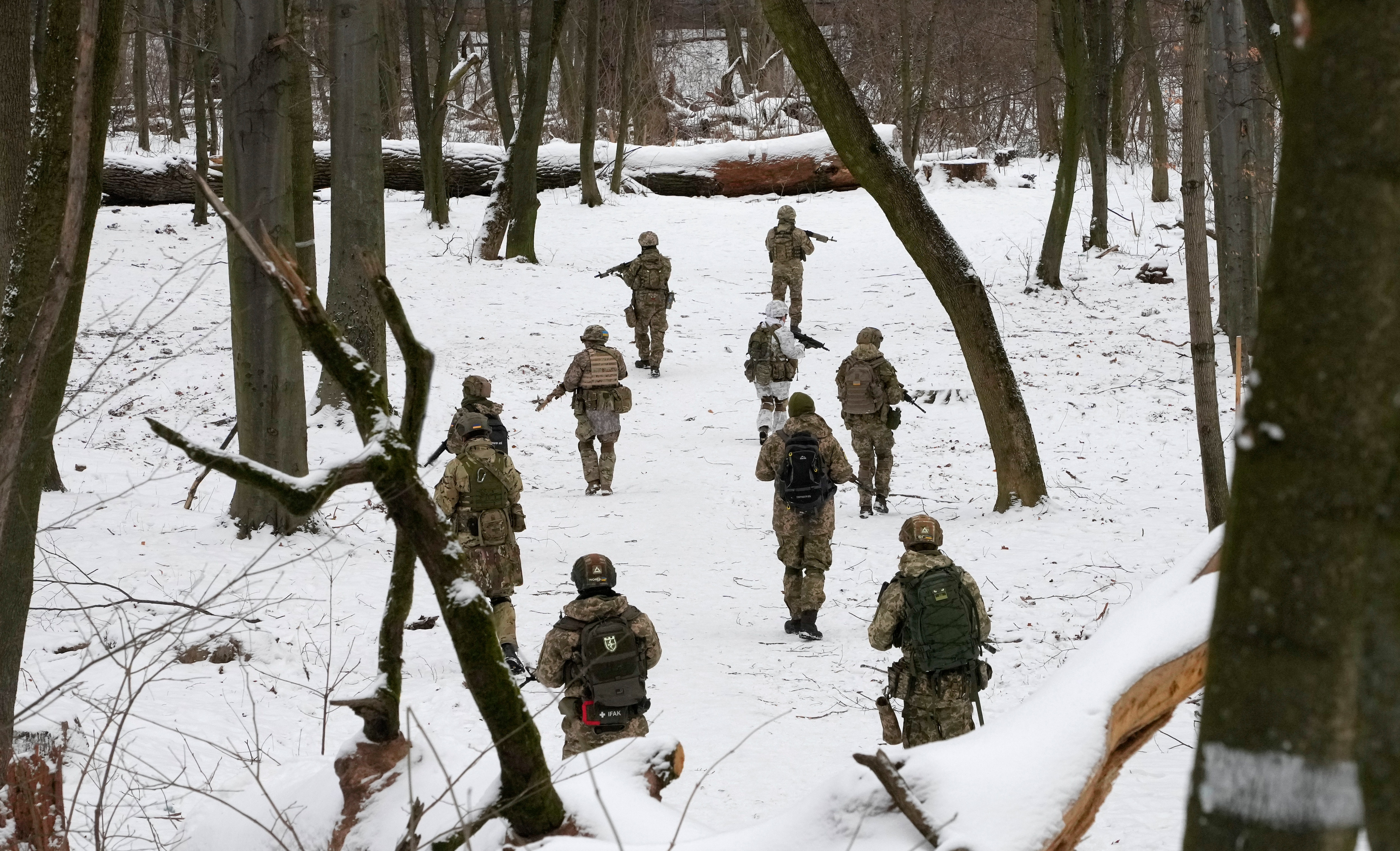 Ukraine's army reserves