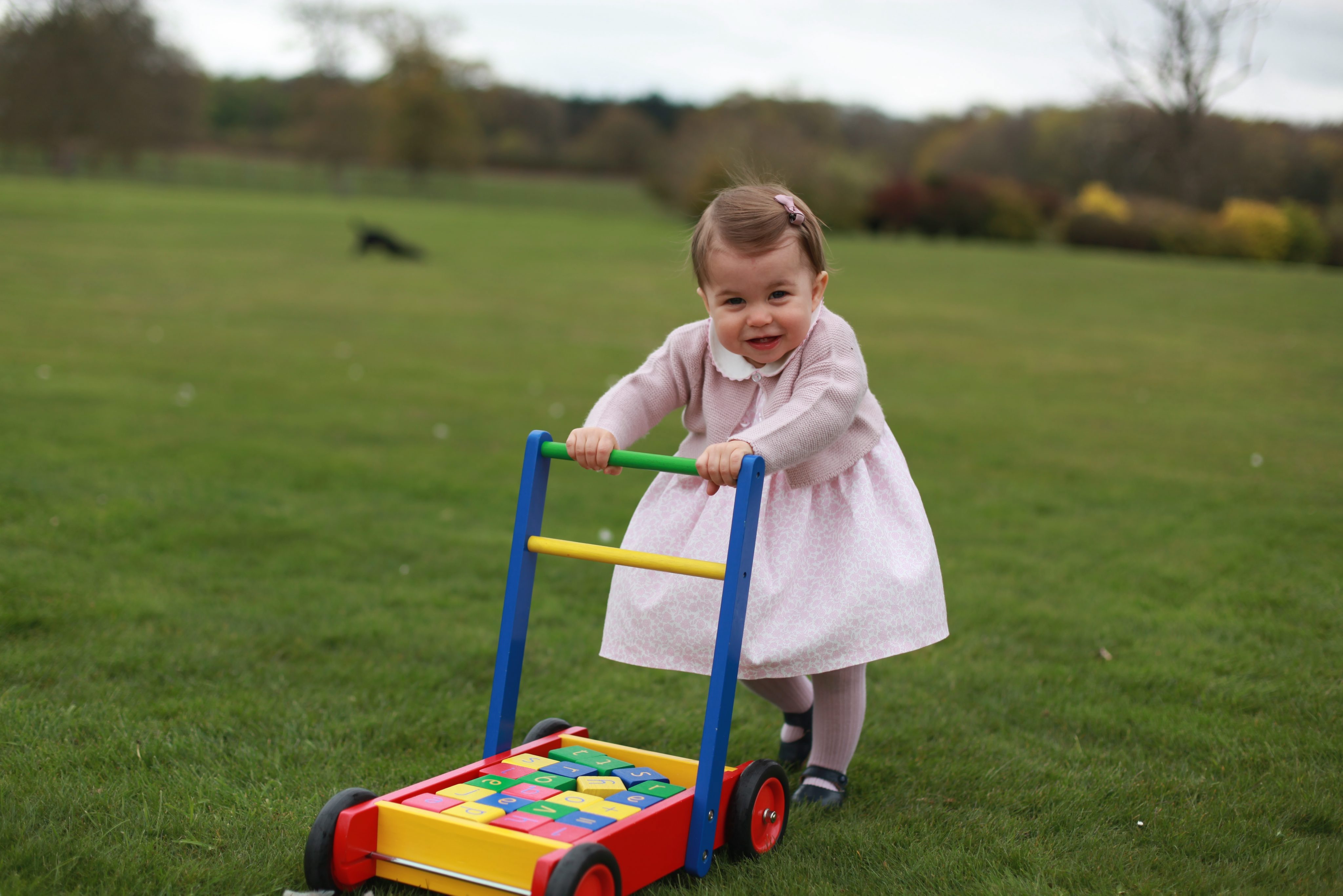 An April 2016 handout picture of Princess Charlotte taken by the Duchess at the garden of Anmer Hall in Norfolk.