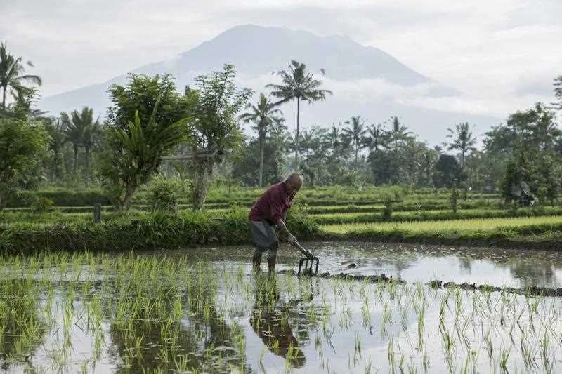 Mount Agung is seen from a nearby village in Karangasem, Bali, Indonesia, 24 September 2017. The Center for Vulcanology of Geological Hazard Mitigation (PVMBG) raised the alert level of Mount Agung to the highest level on 22 September.