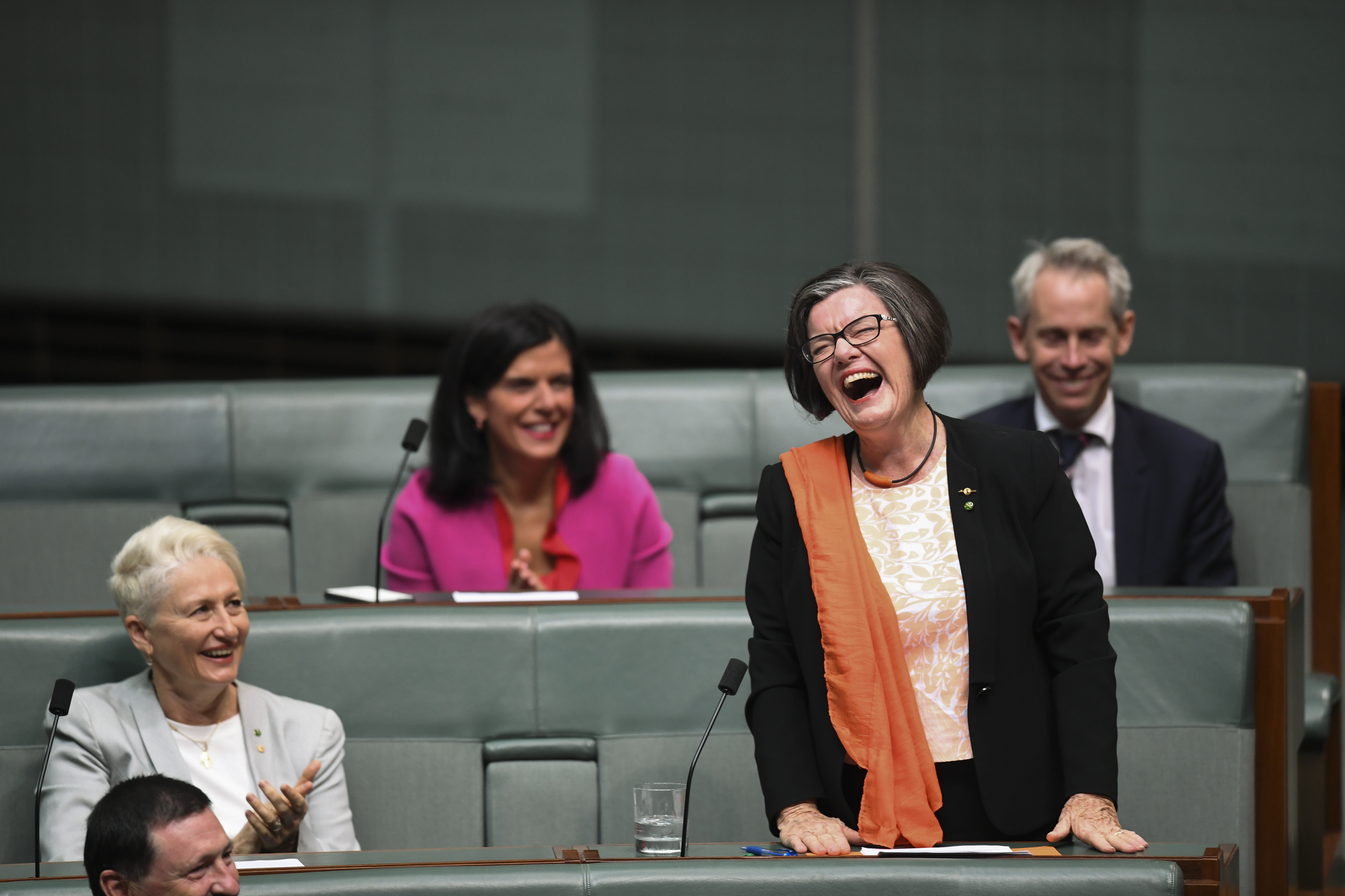 Independent MP Cathy McGowan delivers her valedictory speech in the House of Representatives at Parliament House in Canberra, Thursday, April 4, 2019.(AAP Image/Lukas Coch) NO ARCHIVING