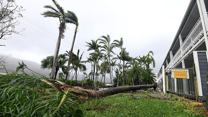 A palm tree is fallen behind a motel at Airlie Beach, Tuesday, March 28, 2017. Cyclone Debbie is expected hit Queensland's far north coast as a category 4 cyclone early afternoon on today. (AAP Image/Dan Peled) NO ARCHIVING