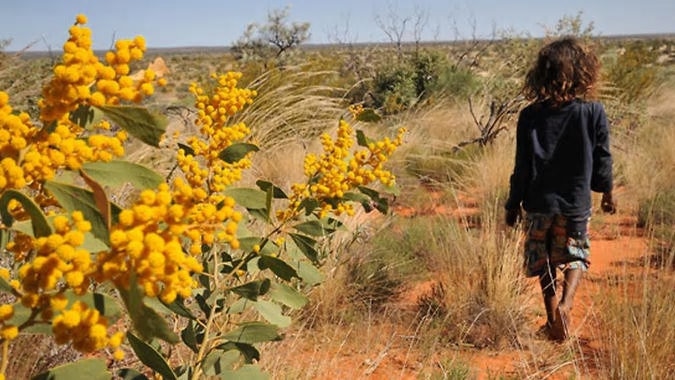 A Coroner said that a spate of suicides among young Indigenous people were shaped by cross-generational trauma and poverty.