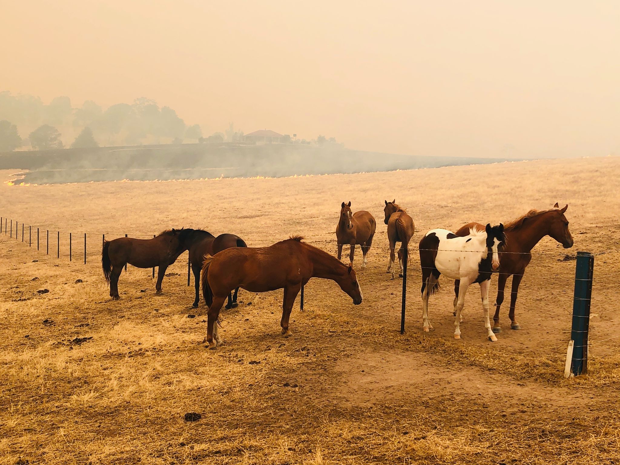 Fires burning just 300 metres from Corryong's hospital