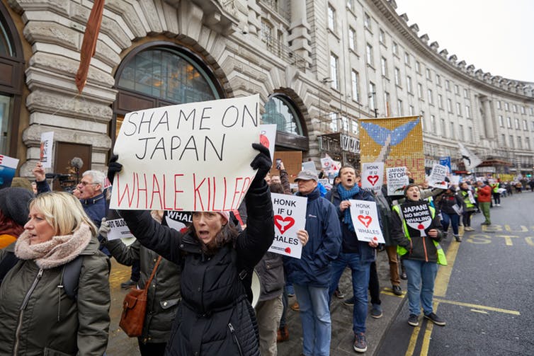 Protesters march in London to demonstrate against Japan’s decision to resume commercial whaling, January 2019.