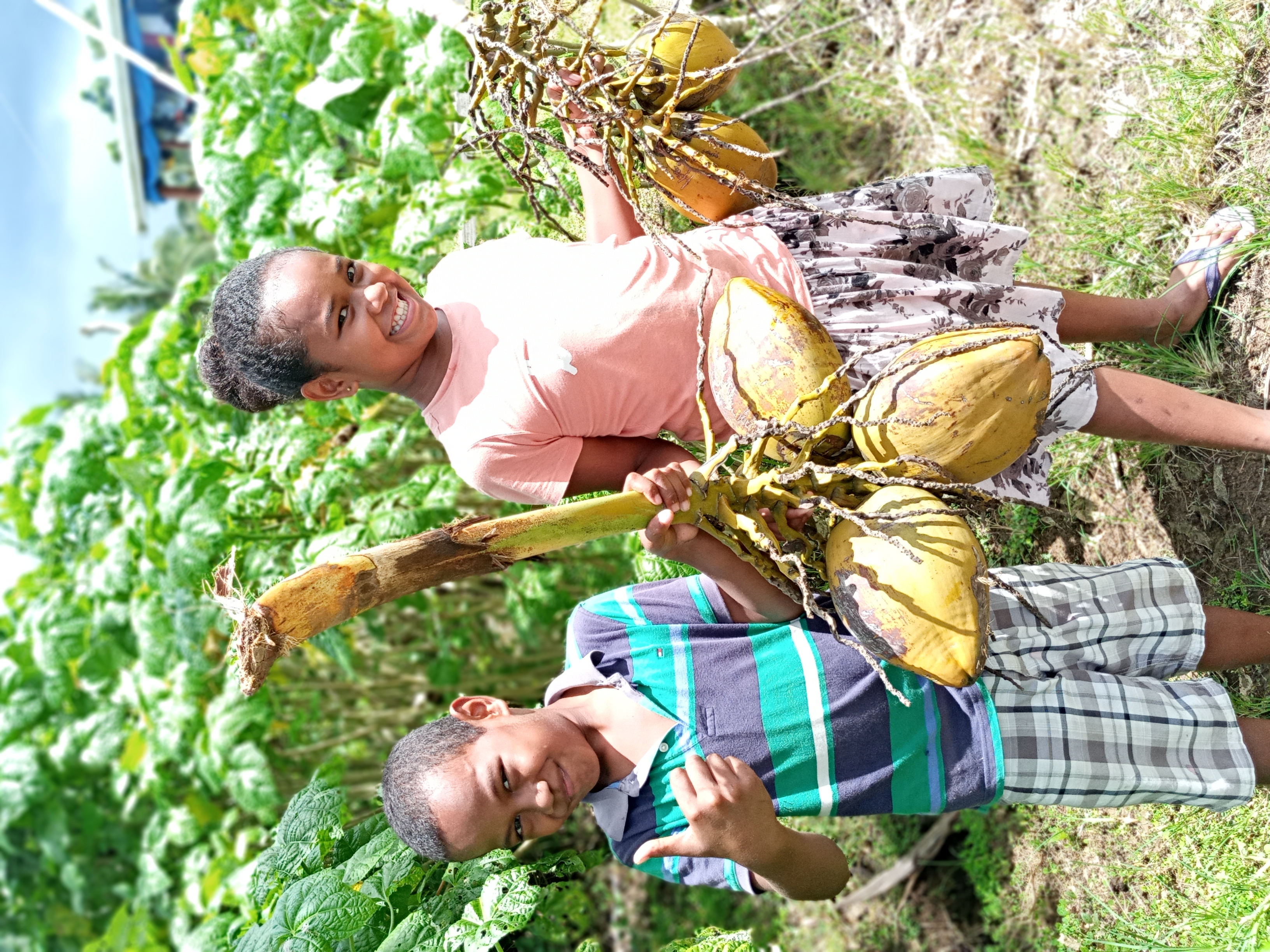Hadassah and her cousin Amena collecting coconuts.