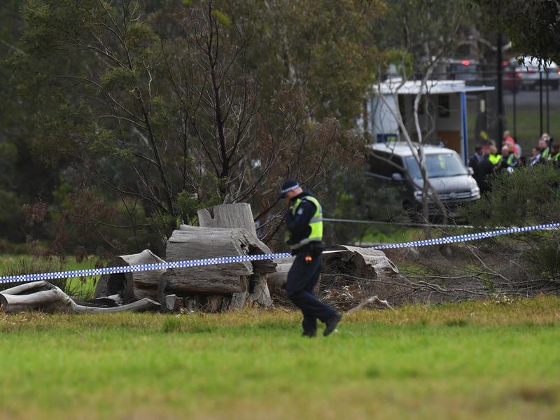 Police at the crime scene in the park