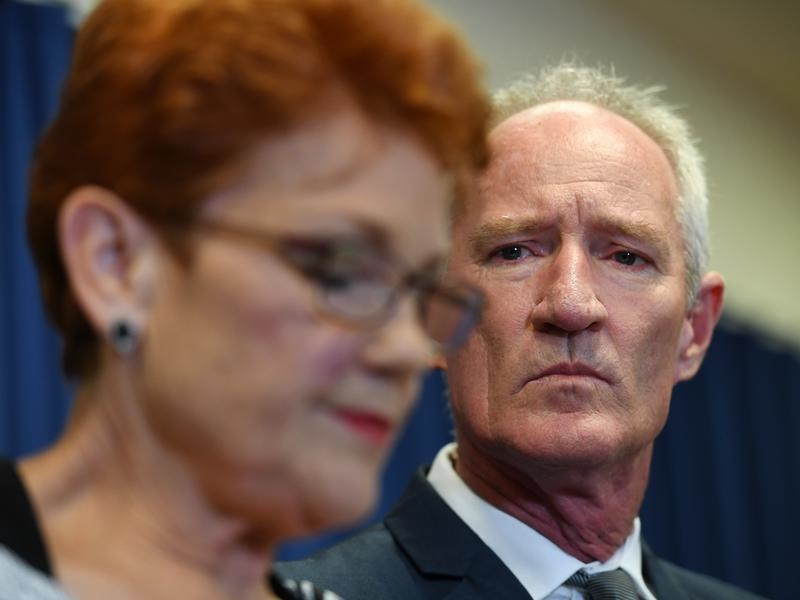 One Nation leader Pauline Hanson speaks with the media, following the scandal involving Steve Dickson.