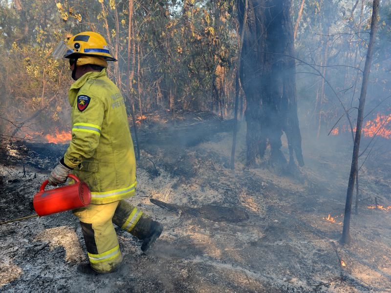 A Queensland Fire and Rescue crew member.