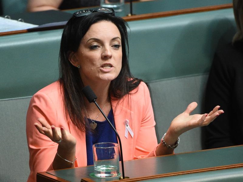 Under fire Labor Labor MP Emma Husar has denied the claims.