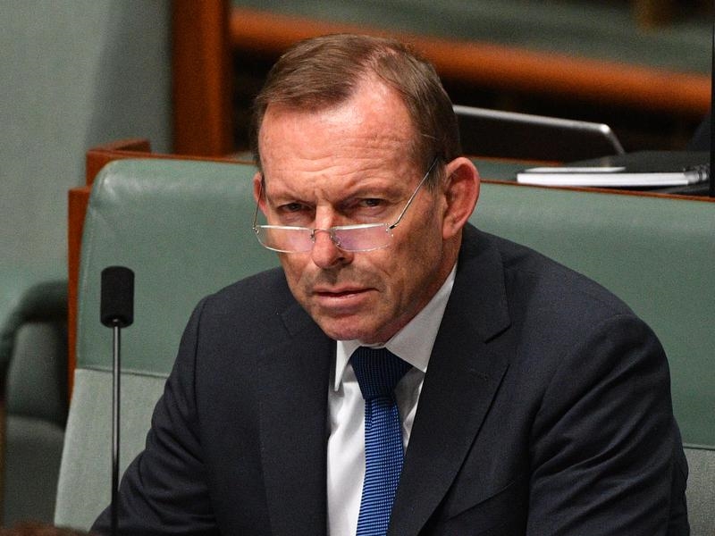 Tony Abbott says he's willing to take back a leadership position within the Liberal party, if asked. 