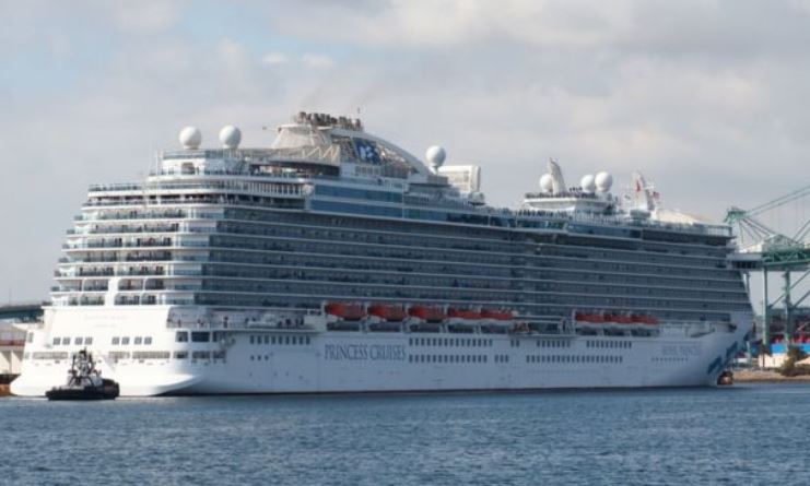 All 14 passengers on the two seaplanes came from the cruise ship, Royal Princess. 