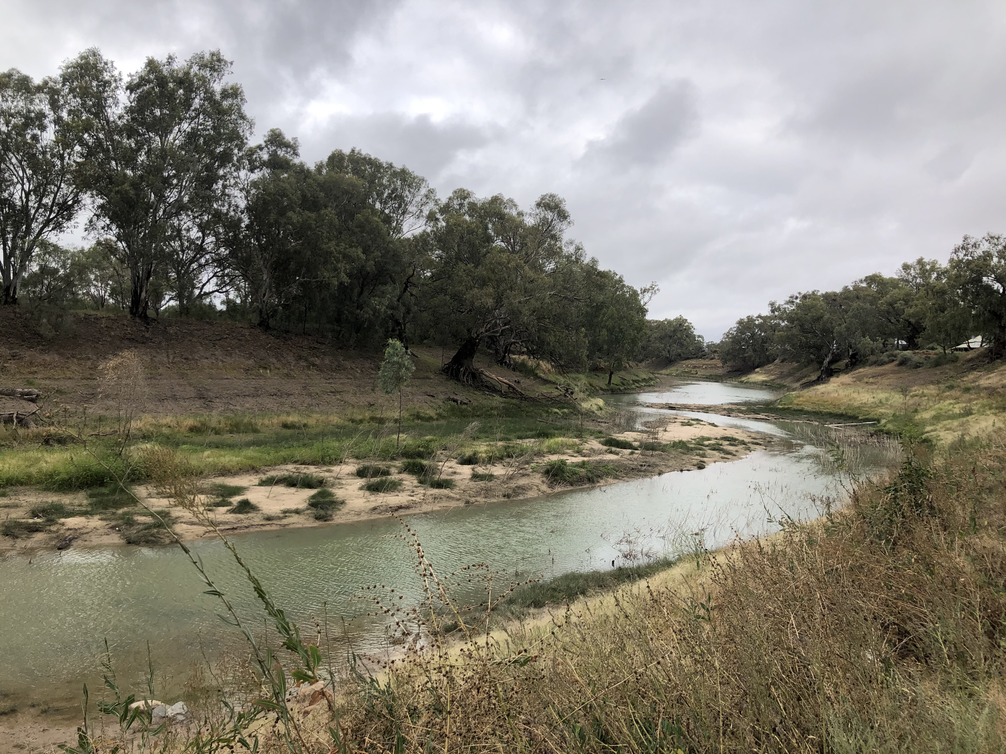 The Darling River at Wilcannia