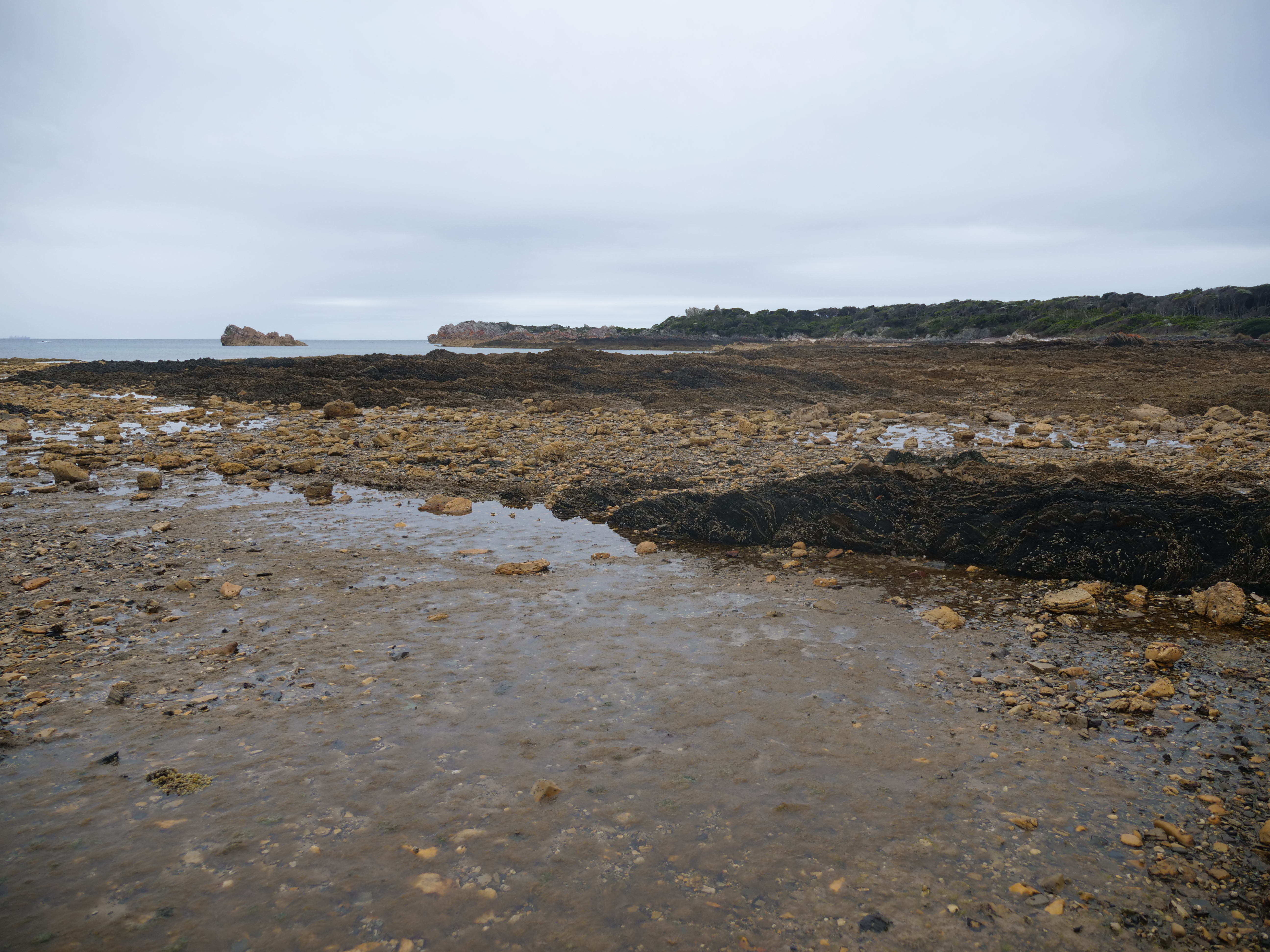 Rocky Cape on Tasmania's north-west coast