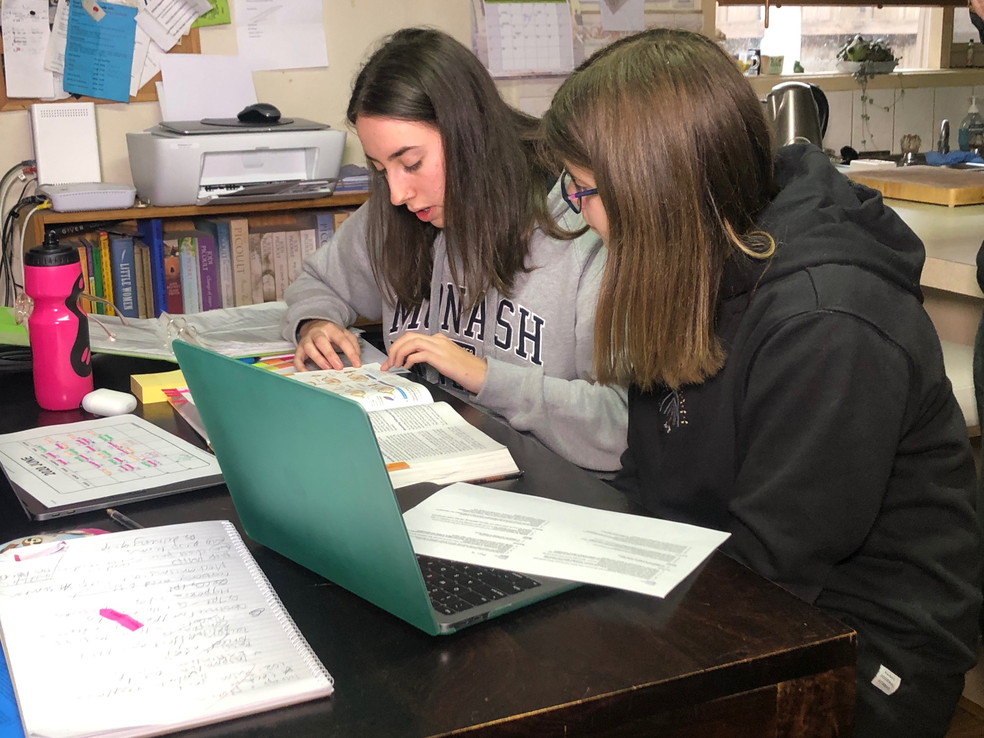 Ruby and Phoebe Nelson study together at home