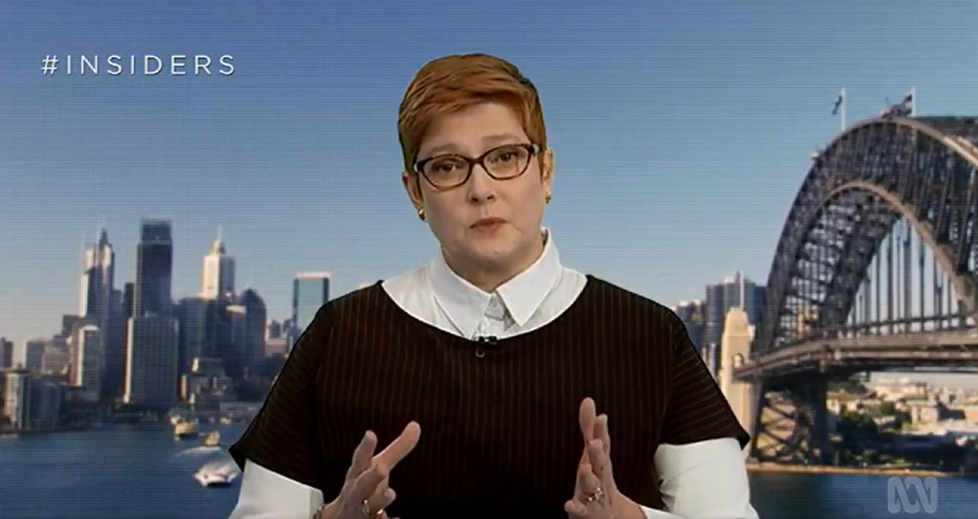 Minister for Women Marise Payne slammed the comments during Sunday's episode of ABC Insiders.