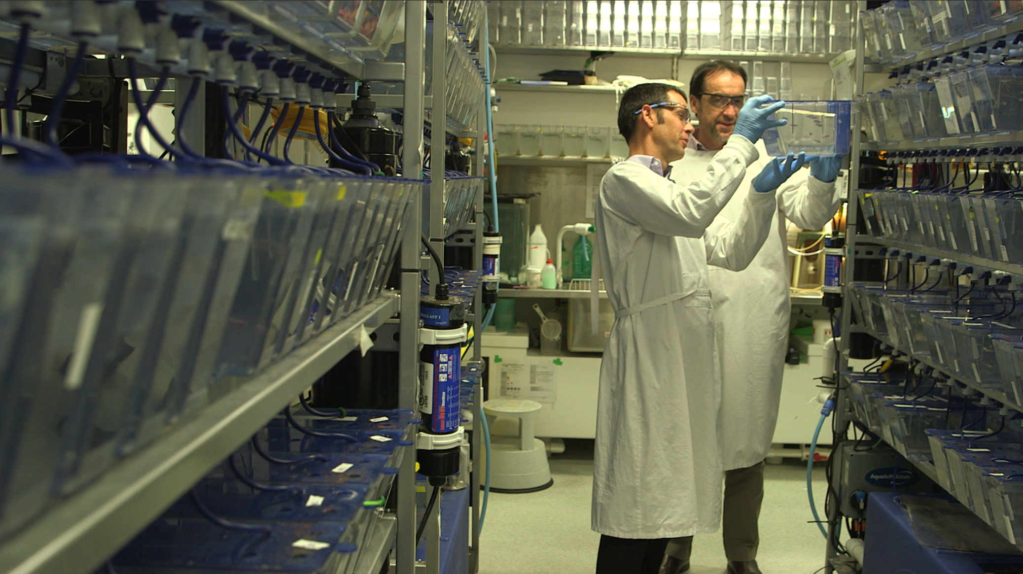 Fishing for answers ... scientists Nicholas Cole and Gilles Guillemin at the Macquarie University MND Reseach Centre. Picture: Will Reid