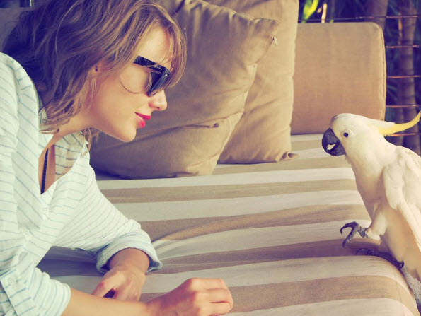 Taylor Swift "making friends" with Australian wildlife. 