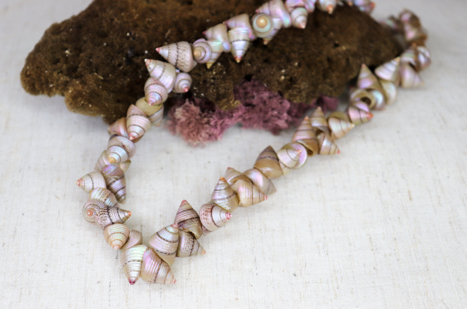 This turk shell necklace is for sale on Blackspace Creative