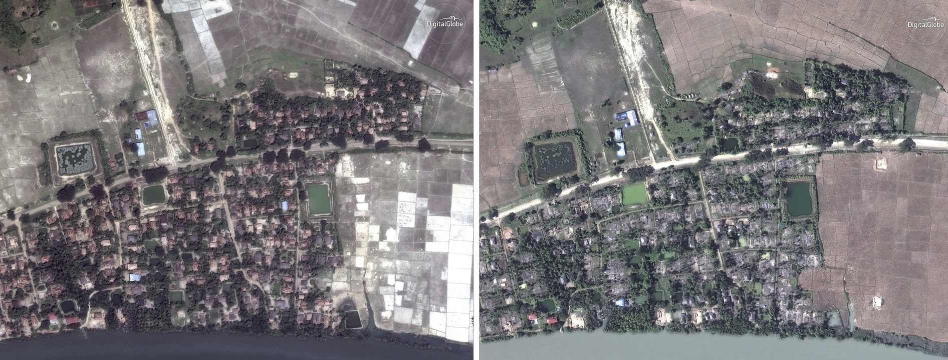 Satellite images show the village of Gu Dar Pyin, Myanmar before, May 26, 2017, left, and after the destruction Dec 20, 2017.