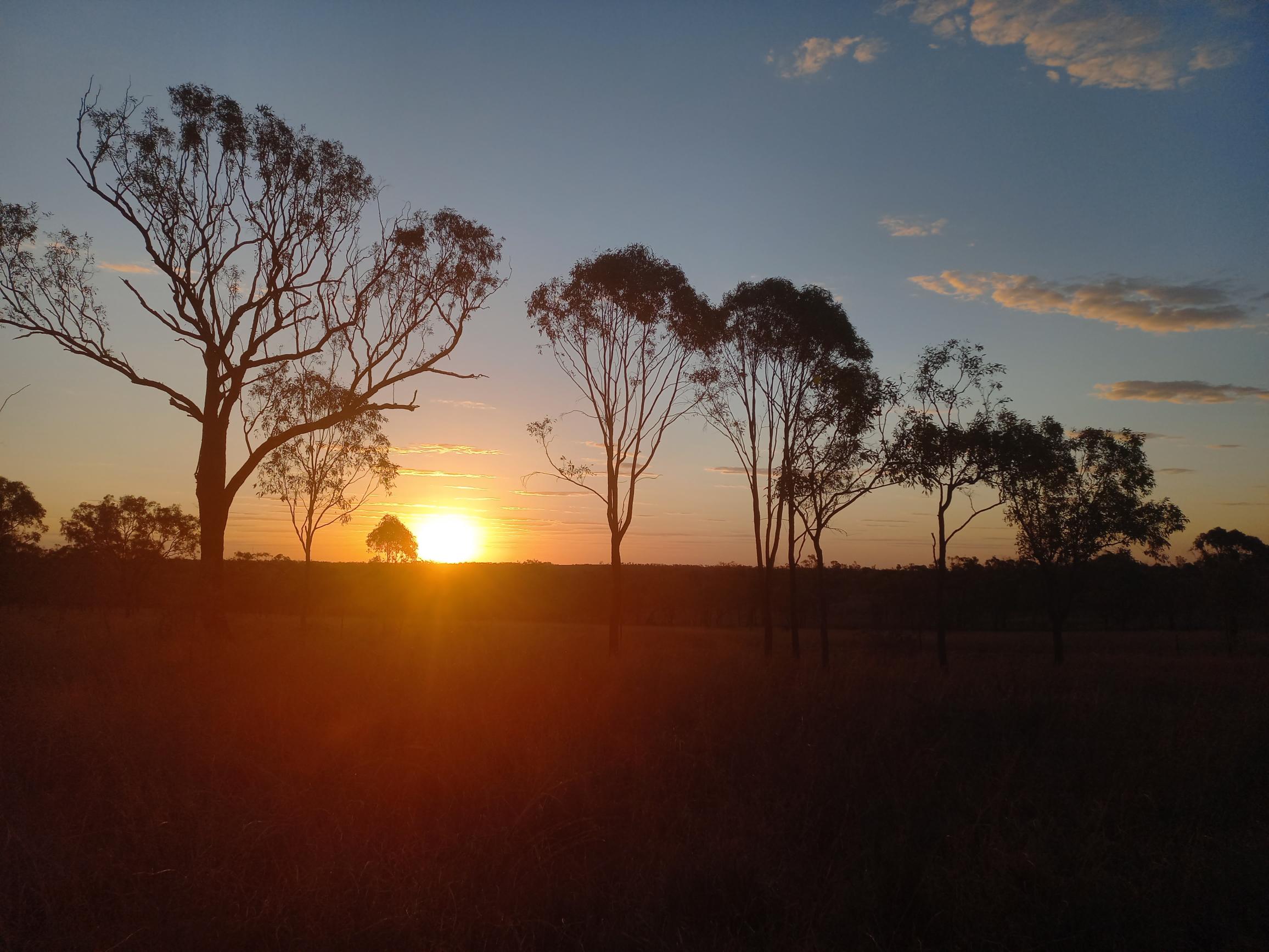 Sunset on Gayiri Country, Central Queensland.