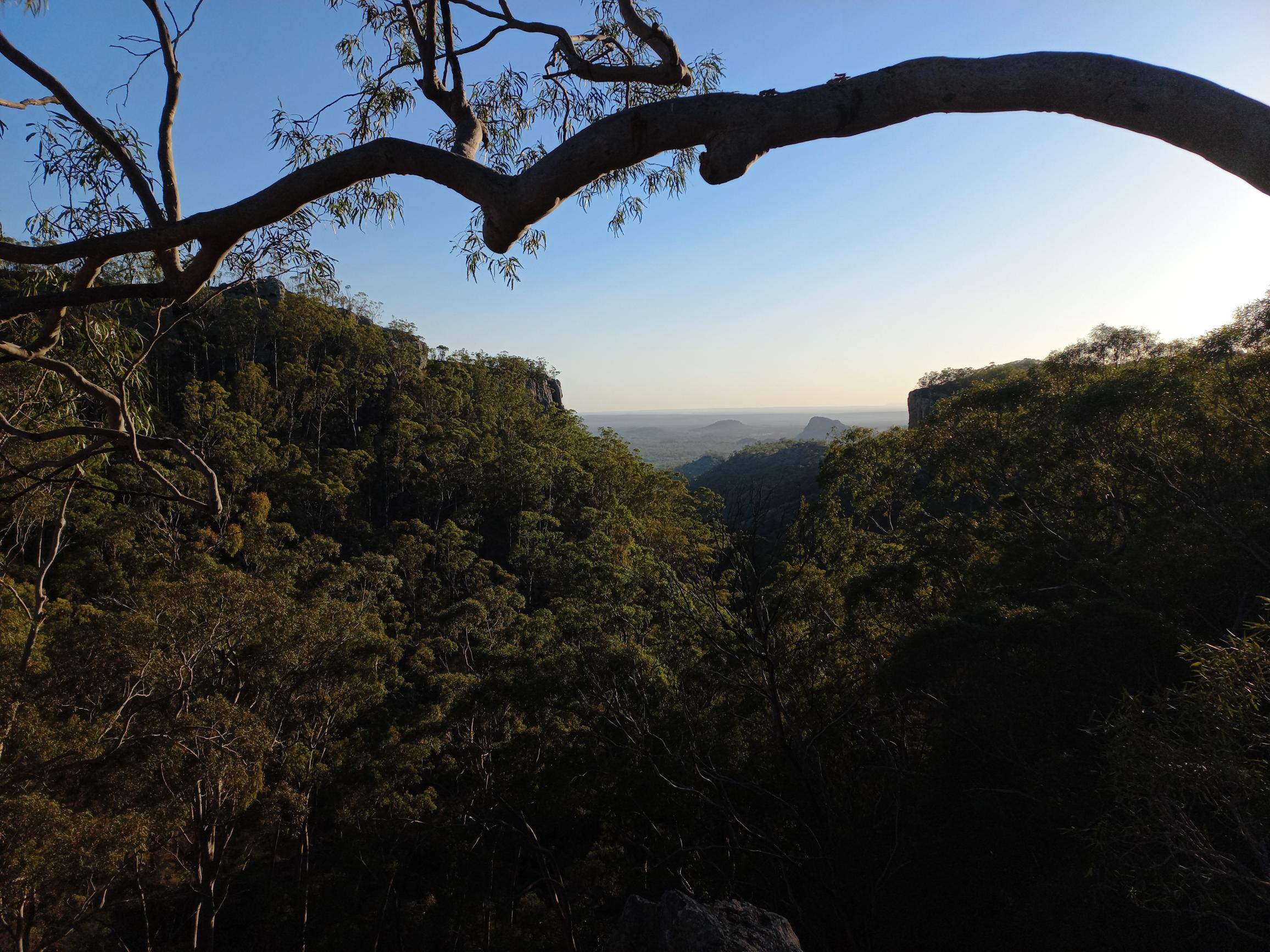 Springsure lookout