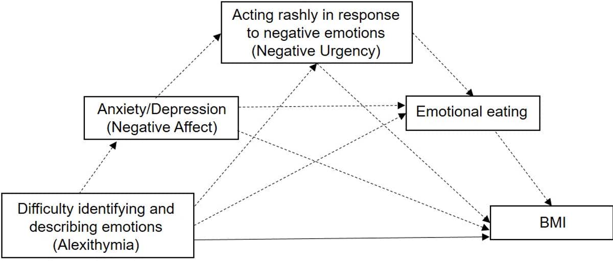 Emotional dysregulation model of BMI.