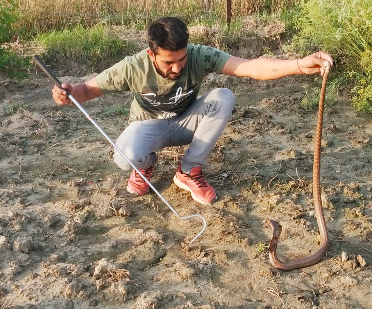 snakeman