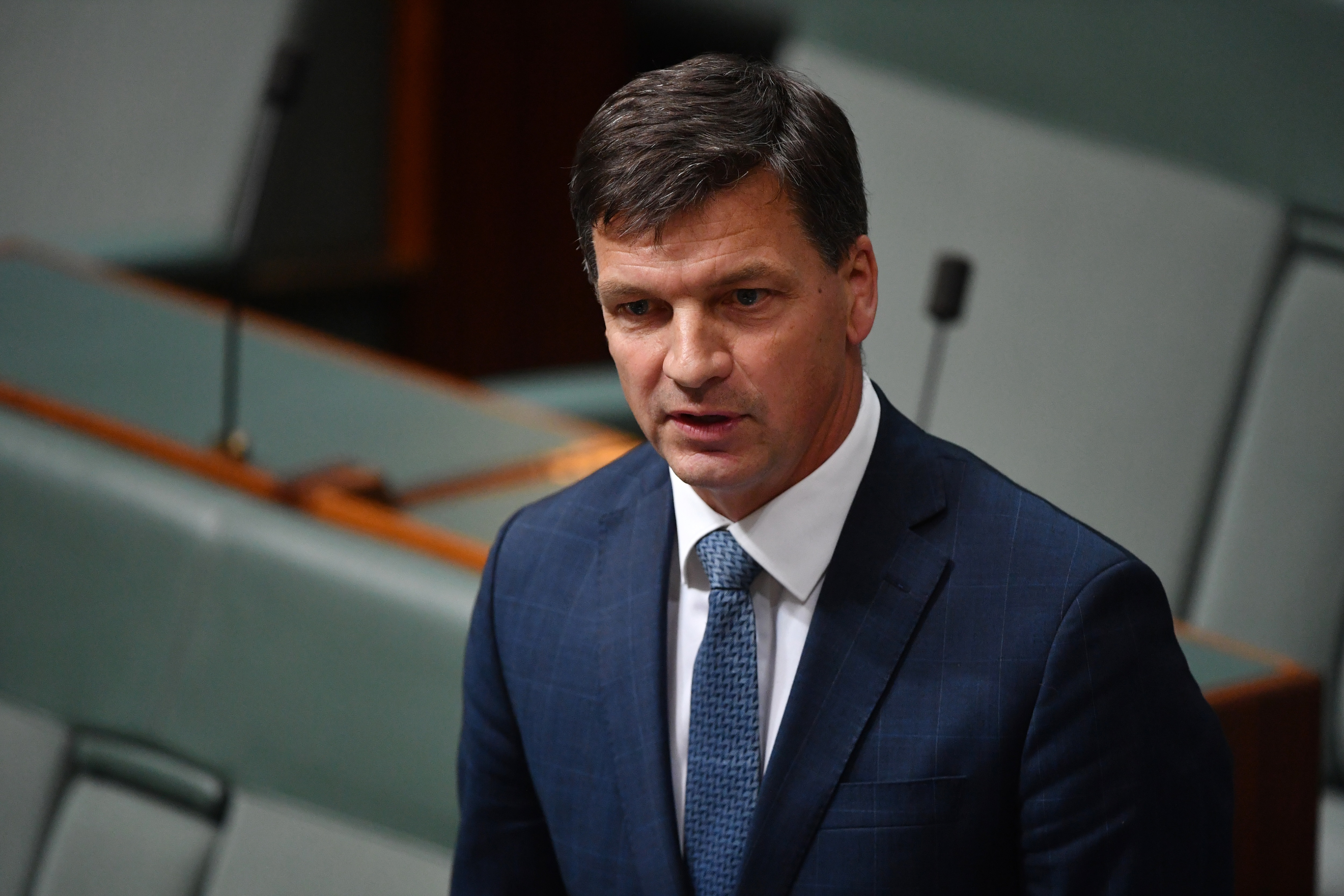 Minister for Energy Angus Taylor wants a lot of horses in the energy race.