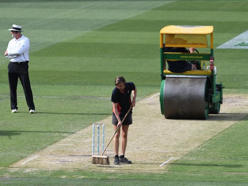 cricket
