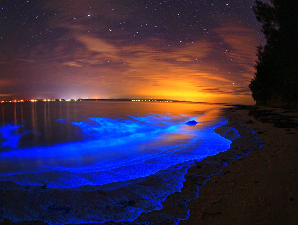 Jervis bay