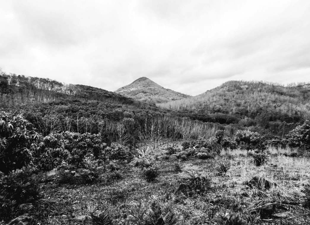 Mount Vinai