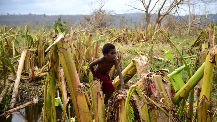 A young boy plays amongst a destroyed banana plantation in Mele, outside the Vanuatu capital of Port Vila on March 19, 2015, after Cyclone Pam ripped through the island nation. 