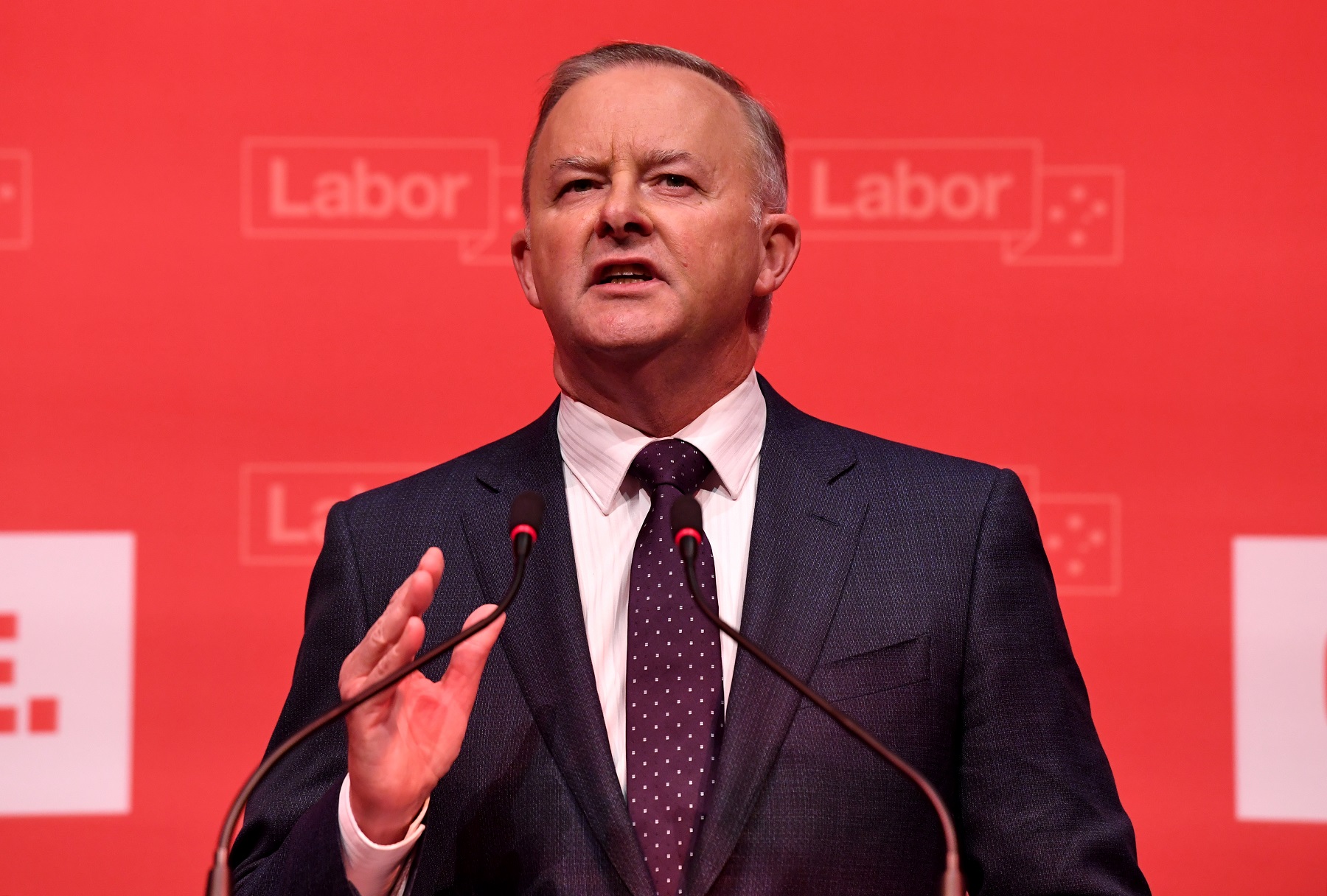 The Leader of the Opposition, Anthony Albanese 