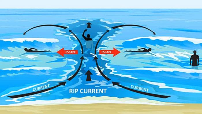 Beach Safety