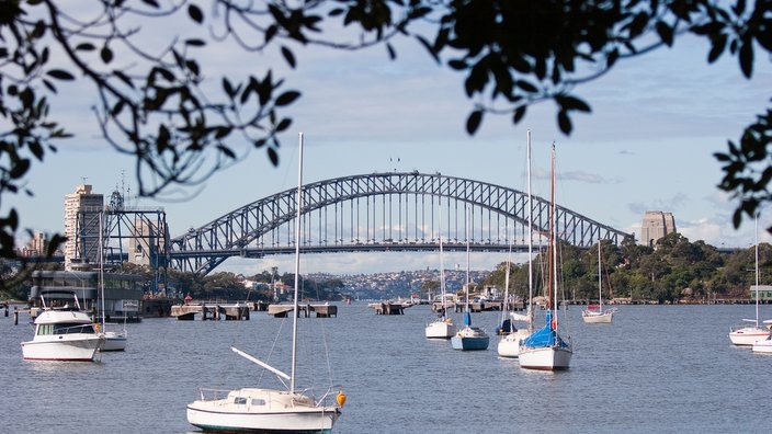 Sydney Harbour Bridge from Birchgrove Park