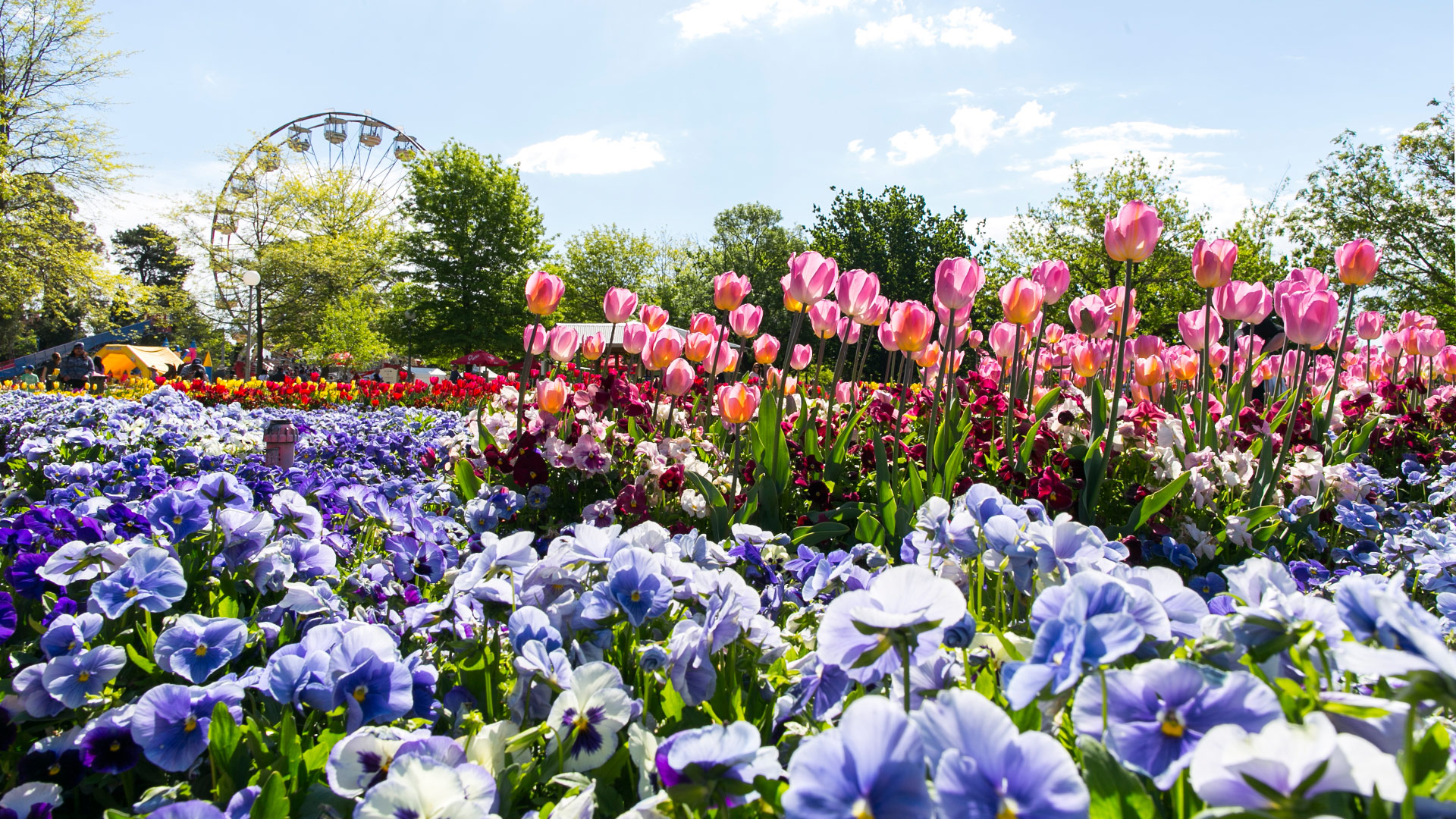 Floriade.jpg